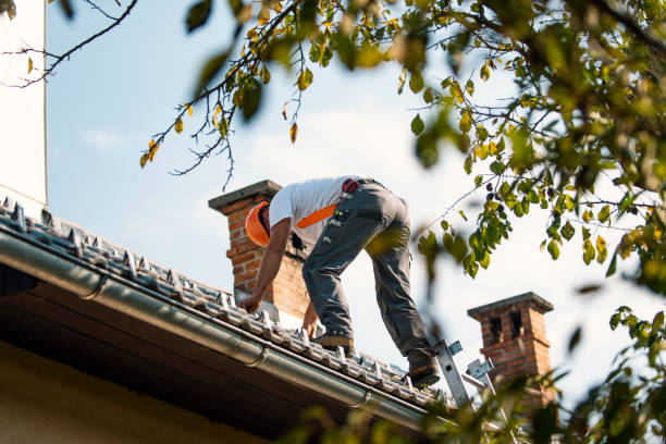 Best Flat Roof Repair Services  in Thief River Falls, MN