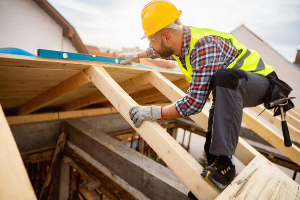 Best Metal Roofing Contractor  in Thief River Falls, MN
