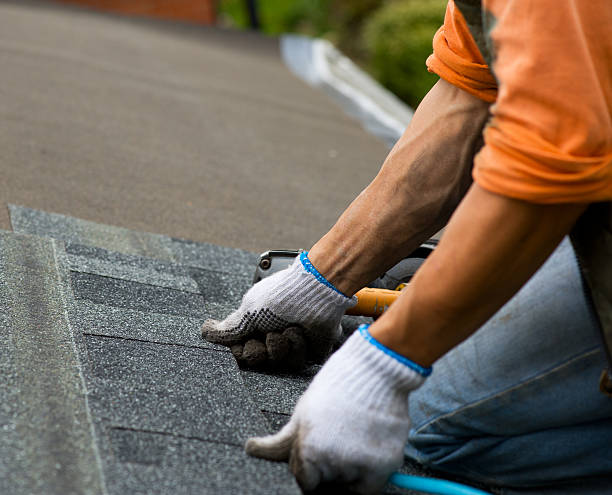 Roof Repair Estimates in Thief River Falls, MN