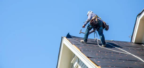 Thief River Falls, MN Roofing Contractor Company